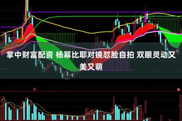 掌中财富配资 杨幂比耶对镜怼脸自拍 双眼灵动又美又萌