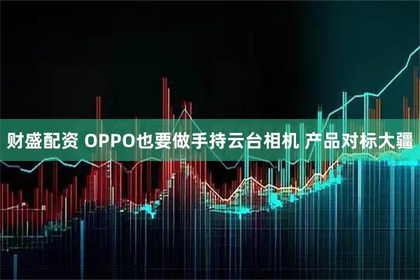 财盛配资 OPPO也要做手持云台相机 产品对标大疆