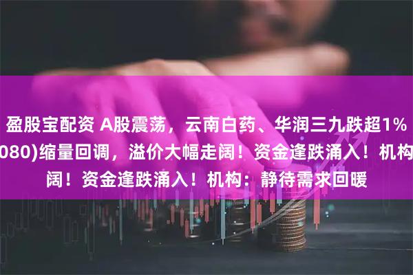 盈股宝配资 A股震荡，云南白药、华润三九跌超1%，中药ETF(560080)缩量回调，溢价大幅走阔！资金逢跌涌入！机构：静待需求回暖
